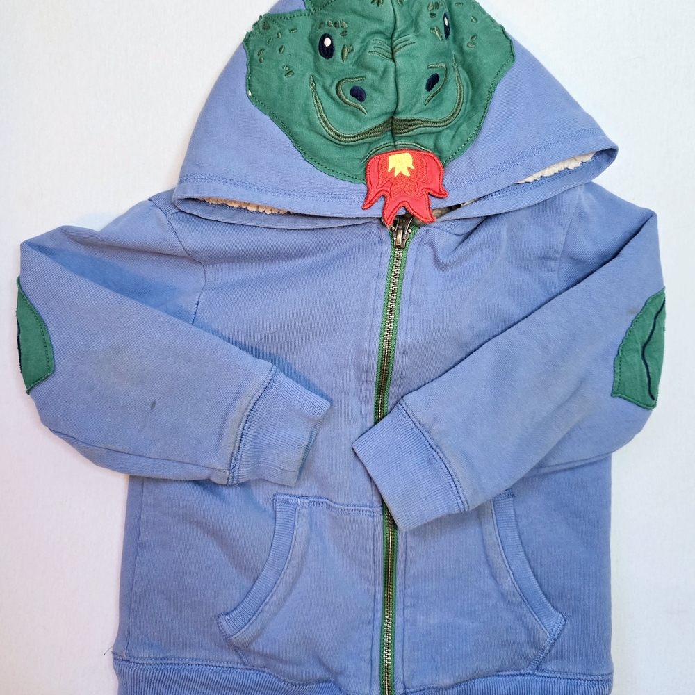 Kids Dinosaur Hoodie - Blue and Green